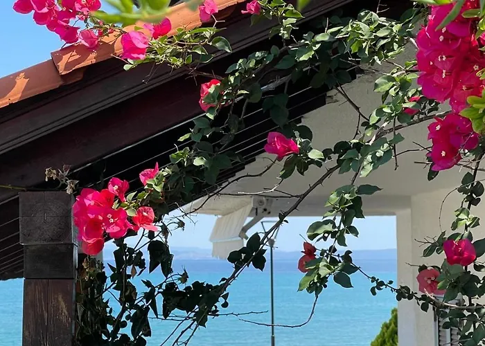 Paralia *